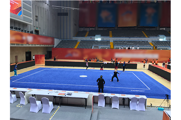 新型武术场地(图1) 新型武术场地(图1)