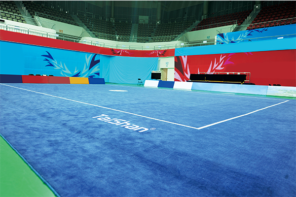 武术场地(图1) 武术场地(图1)