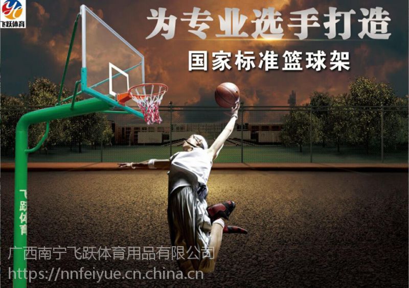 河池市篮球架 健身路径 学校 乡镇采购体育用品厂家 飞跃体育(图2)