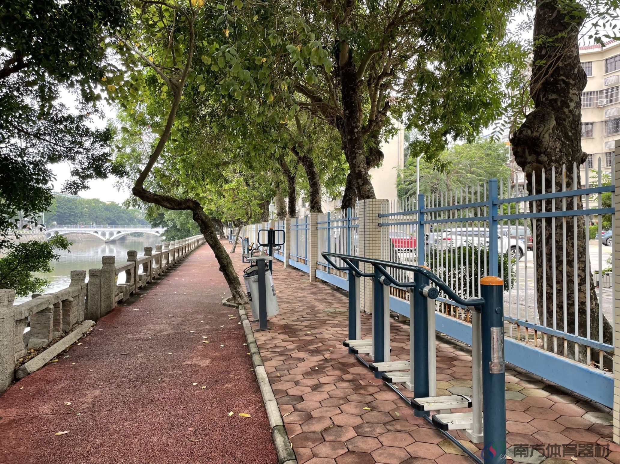 凤凰河渠绿道南华小区东苑段(图1)